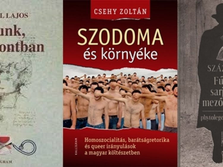 Az Irodalmi Szemle ankétja –  A szlovákiai magyar irodalom három évtizede (1989 – 2019)