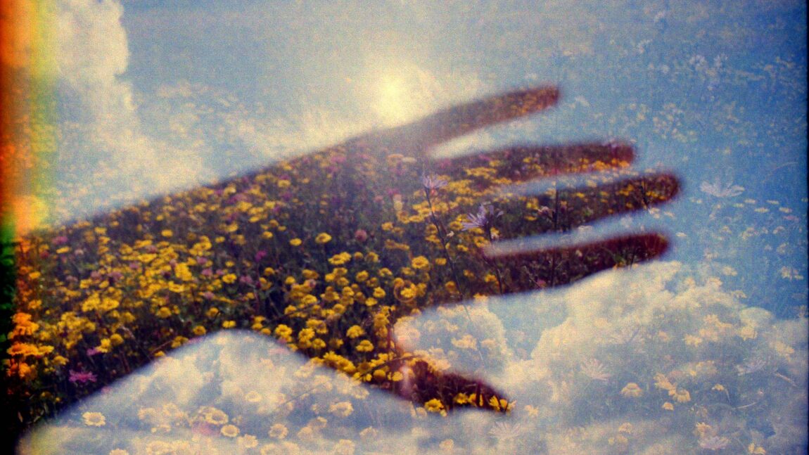 Bódi Péter regényrészlete