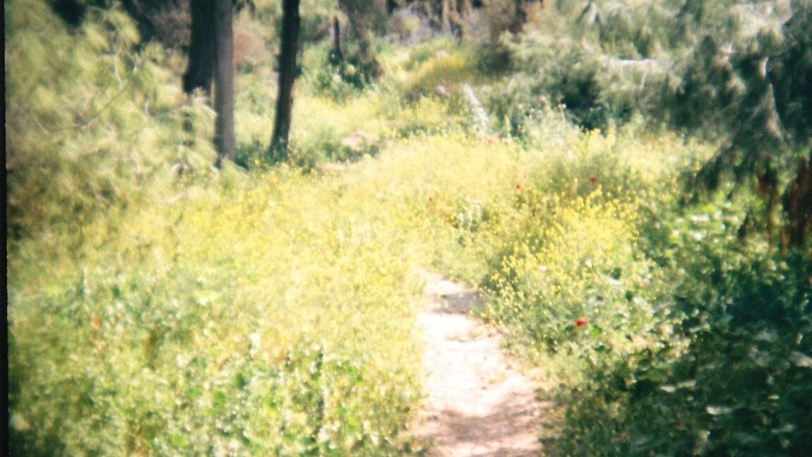 Dominika Moravčíková prózája Pénzes Tímea fordításában