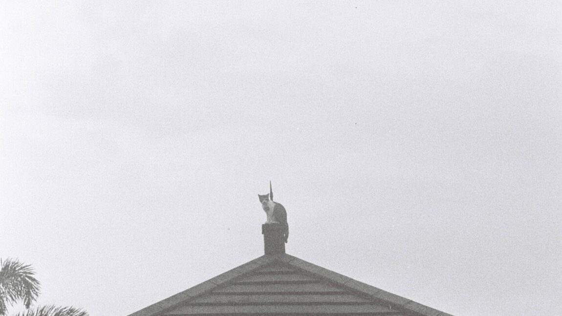 Miklya Zsolt gyerekversei