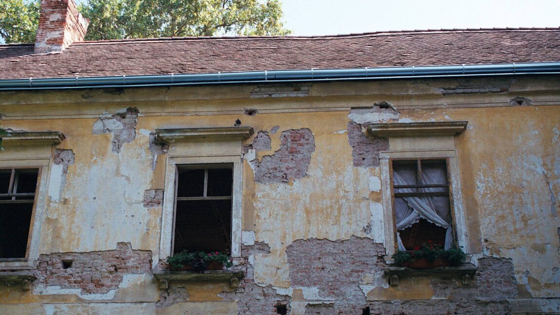 Triebl Zsuzsanna prózája