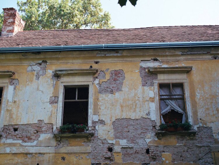 Triebl Zsuzsanna prózája