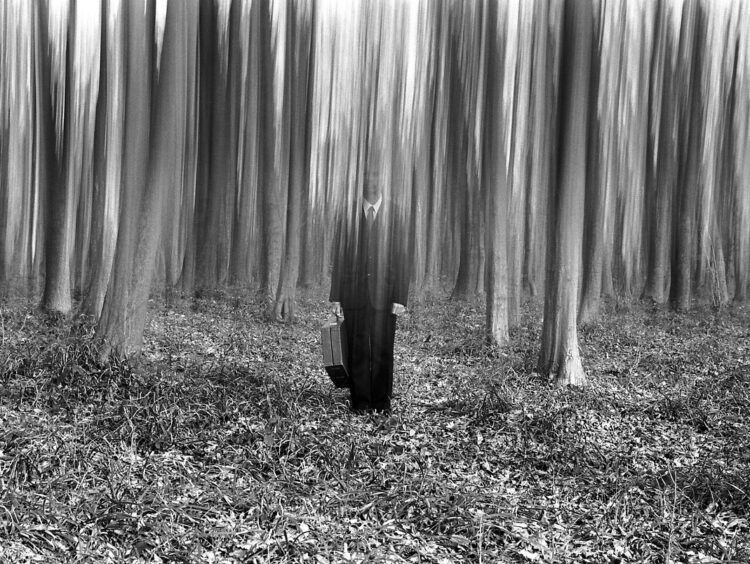 Michael Papcun versei Merva Attila fordításában