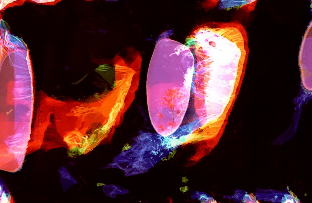 Rőhrig Eszter regényrészlete