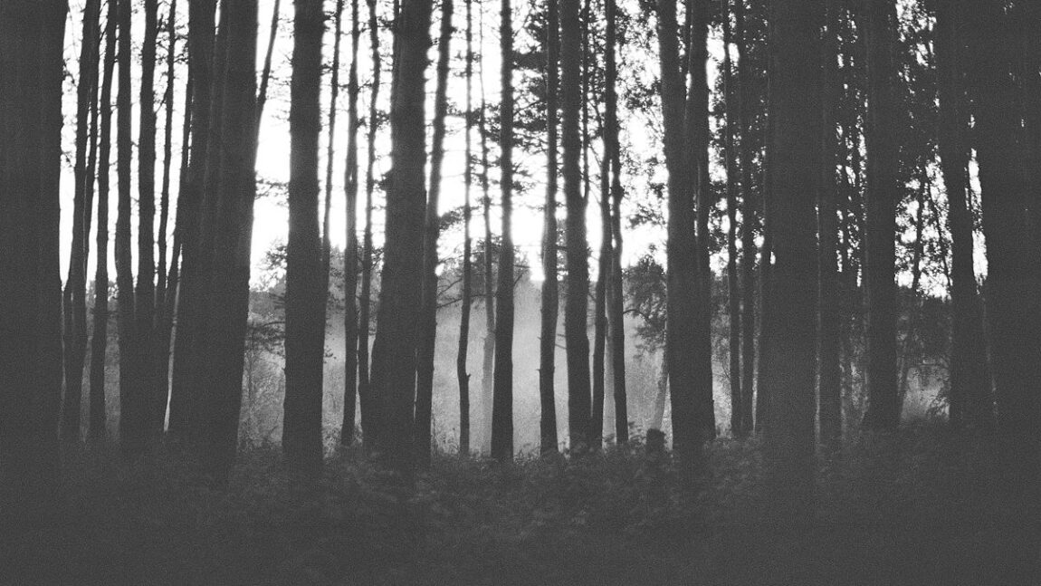 R. Nagy Krisztián prózája